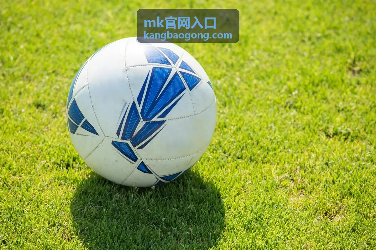 mk官网入口 通道访问与核验步骤现场示意