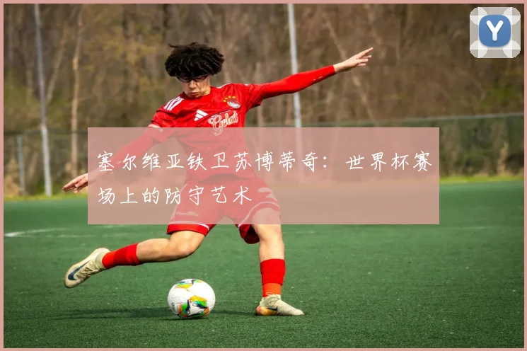 塞尔维亚铁卫苏博蒂奇：世界杯赛场上的防守艺术