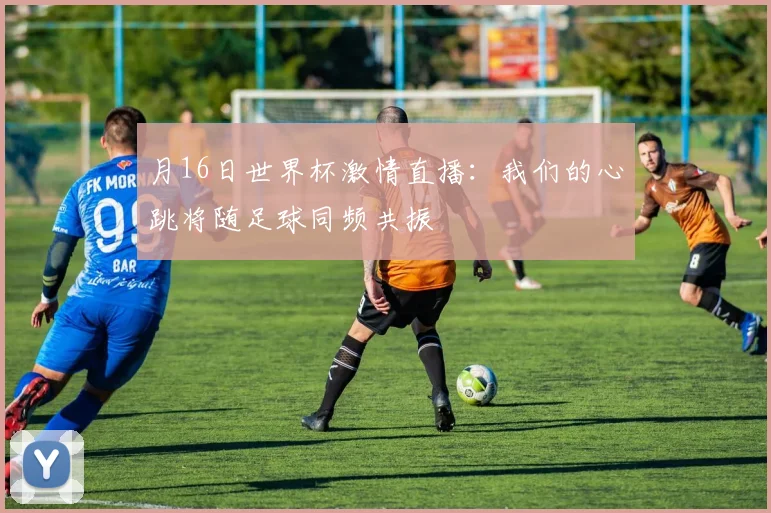 月16日世界杯激情直播：我们的心跳将随足球同频共振